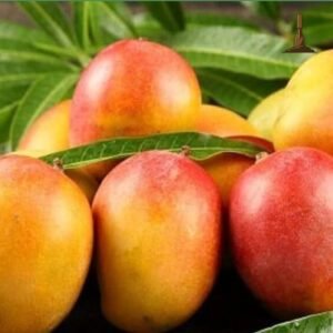 Swarnrekha Mango -Khurpi Gardens