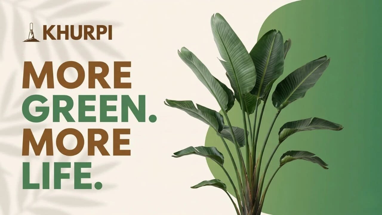 Khurpi Banner more green