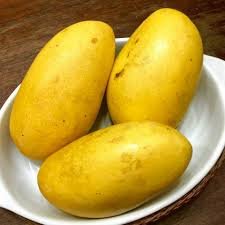 Carabao Mango| Buy Live Mango Online in India| Khurpi